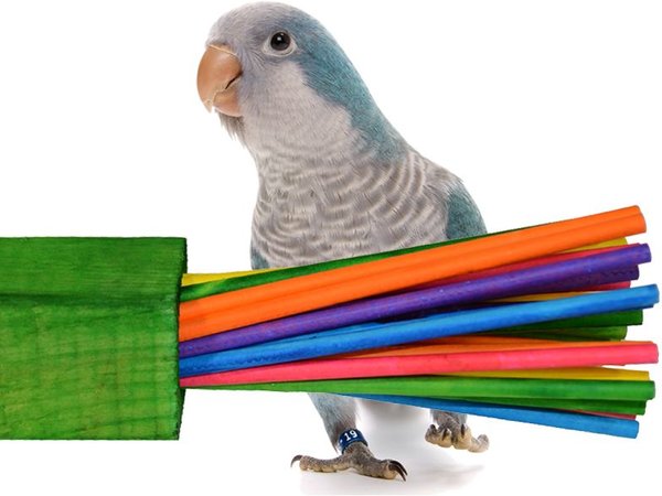 Super Bird Creations Paper Party Bird Toy, Large, 1 count slide 1 of 9