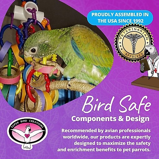 Super Bird Creations Bagel Cascade Bird Toy, Large
