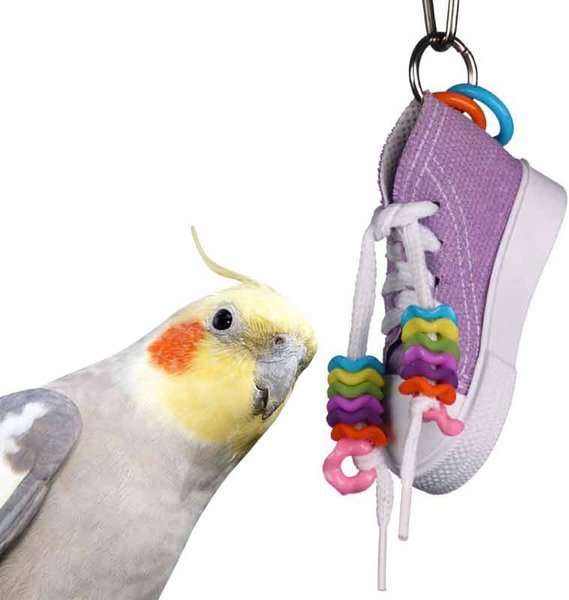 Super Bird Creations Beaker Sneaker Bird Toy, Small slide 1 of 2