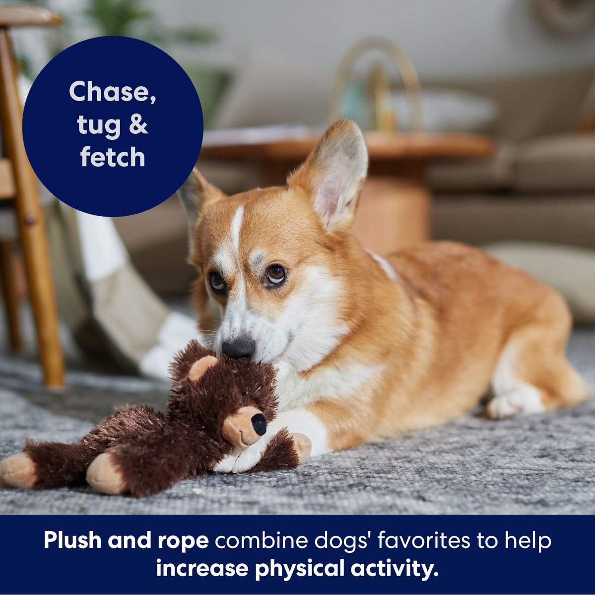 Frisco Fox Plush with Inside Rope Squeaky Dog Toy