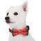 Show in main carousel: Blueberry Pet Christmas Stay Festive Bowtie Gift Box, 3-in slide 4 of 9
