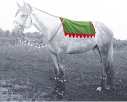 Tough1 Elf English Pad Horse Cover