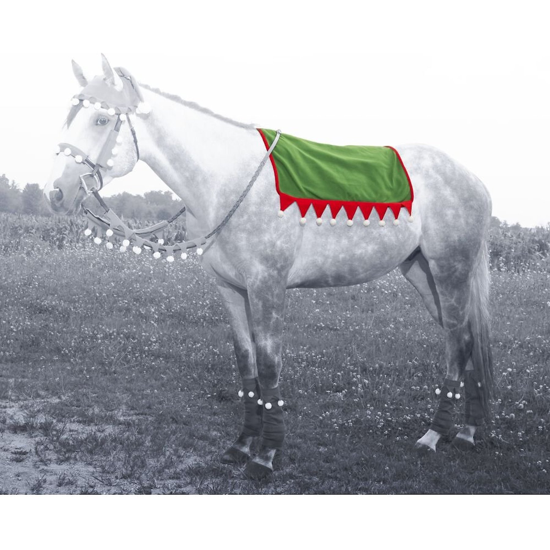 Tough1 Elf English Pad Horse Cover