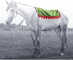 Tough1 Elf Western Pad Horse Cover