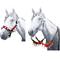 Show in main carousel: Tough1 Elf Halter & Rein 5 Piece Horse Set slide 1 of 4
