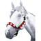 Show in main carousel: Tough1 Elf Halter & Rein 5 Piece Horse Set slide 4 of 4