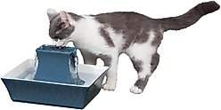 PetSafe Drinkwell Pagoda Ceramic Dog & Cat Fountain, Himalayan Blue, 70-oz