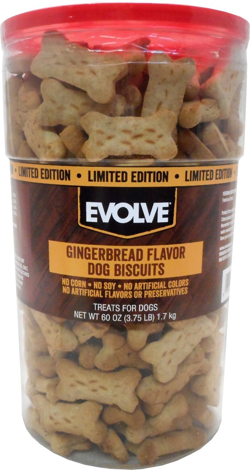 EVOLVE Gingerbread Biscuit Dog Treats, 60oz tub