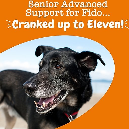 Zesty Paws Senior Advanced 11-in-1 Bites Chicken Flavored Soft Chews Multivitamin for Senior Dogs, 90 count
