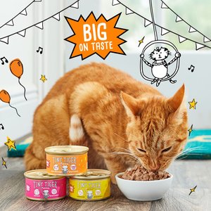 Tiny Tiger Chunks in EXTRA Gravy Beef & Poultry Recipes Variety Pack Grain-Free Canned Cat Food, 3-oz can, case of 24