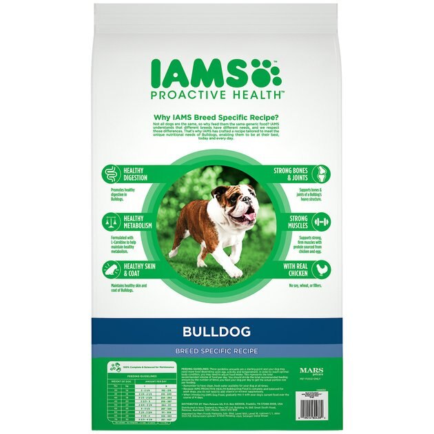 iams dog food for english bulldogs