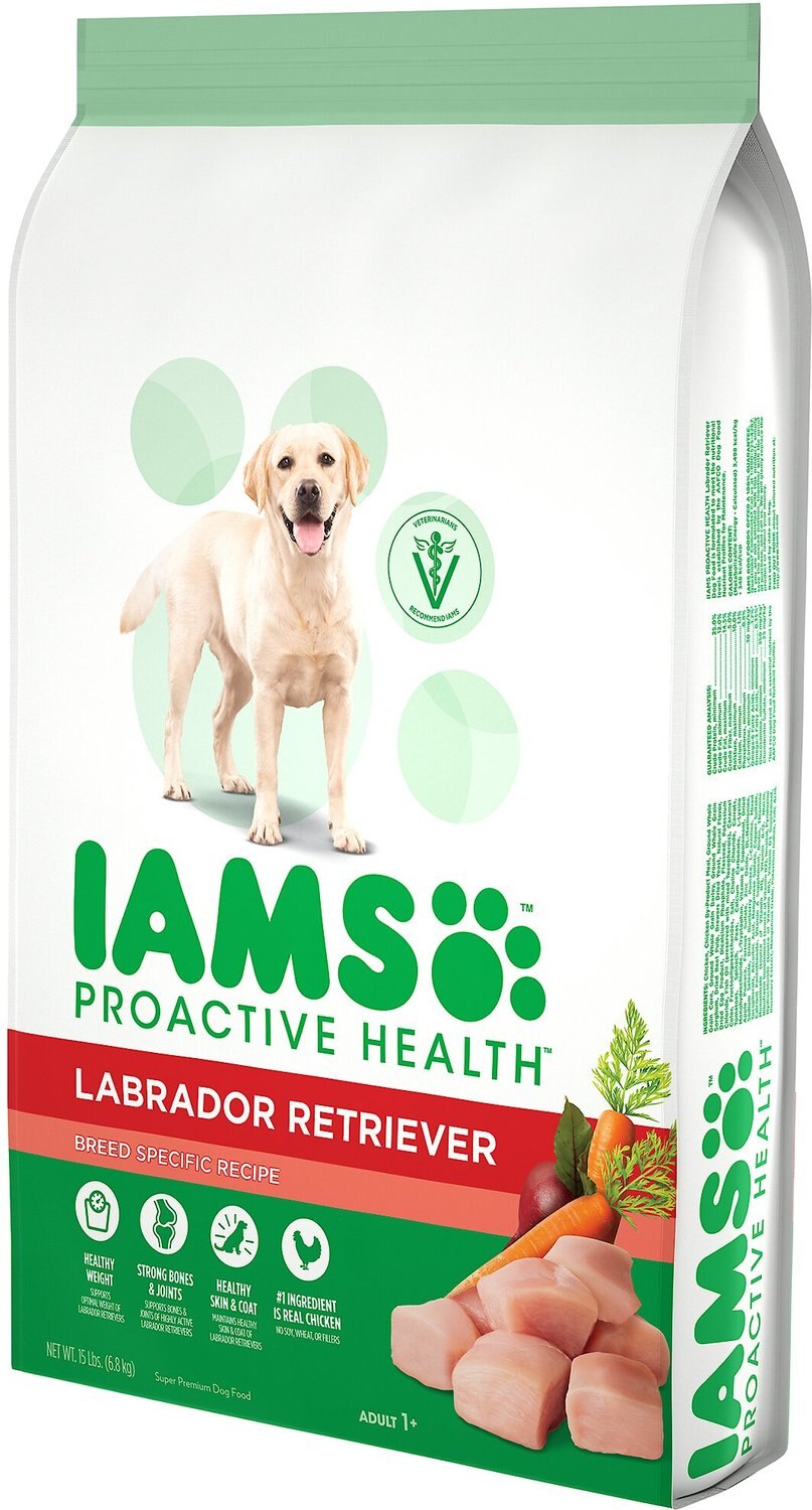 iams dog food labrador