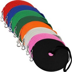 Downtown Pet Supply Training Dog Lead, Black, 50-ft