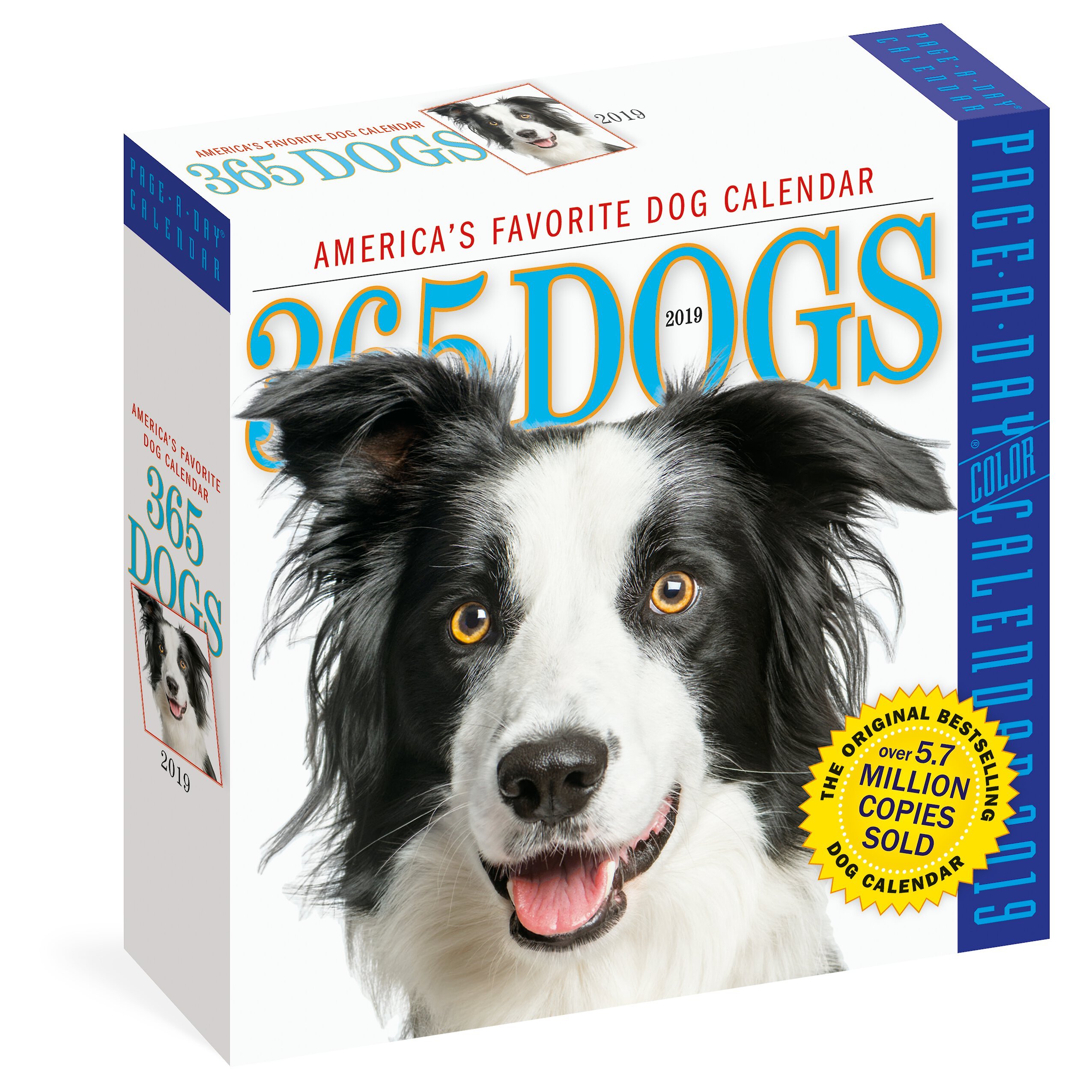 365 Dogs Page-A-Day Calendar reviews - Chewy.com