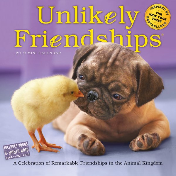 Unlikely Friendships 2025 Wall Calendar