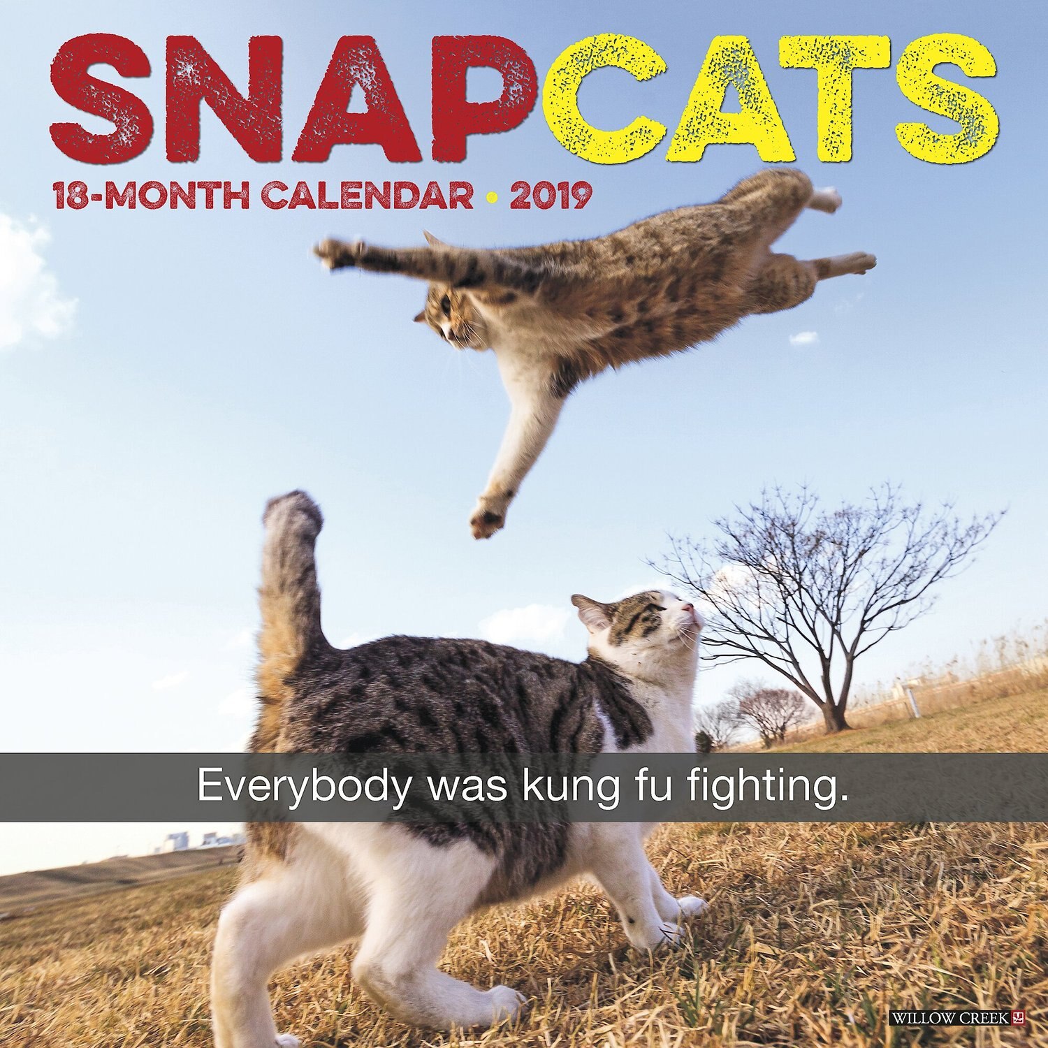 Snap Cats 2019 Wall Calendar