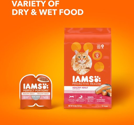 Iams ProActive Health Salmon Recipe Adult Dry Cat Food, 16-lb bag