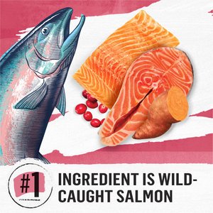 Purina Beyond Simply Indoor Wild-Caught Salmon, Egg & Sweet Potato Recipe Grain-Free Dry Cat Food, 11-lb bag