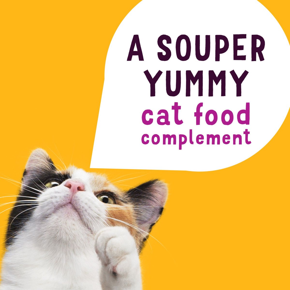 Friskies lil outlet soups cat food