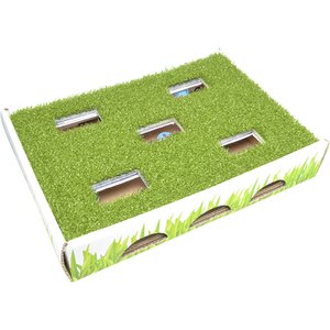 Catstages Grass Patch Hunting Box Cat Scratcher Toy