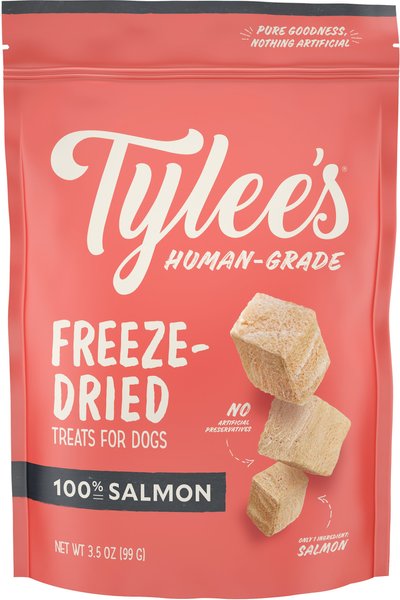 Tylee's Salmon Human-Grade Freeze-Dried Dog Treats, 3.5-oz bag slide 1 of 7