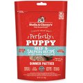 Stella & Chewy's Perfectly Puppy Beef & Salmon Dinner Patties Freeze-Dried Raw Dog Food, 5.5-oz bag
