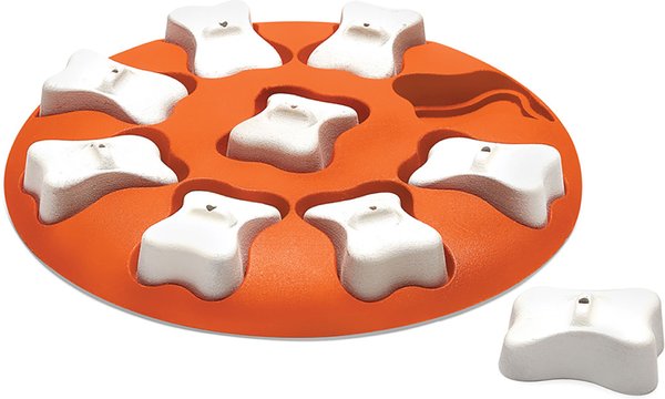 Nina Ottosson by Outward Hound Smart Puzzle Game Dog Toy slide 1 of 10