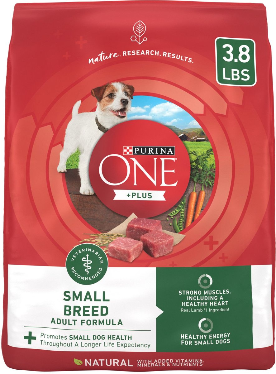 Purina small best sale bites dog food