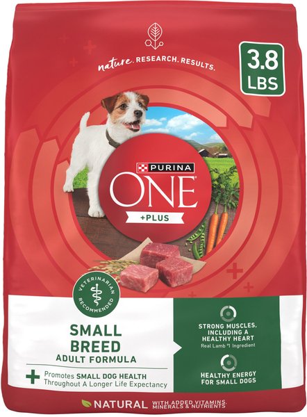 Purina one small 2024 breed puppy food