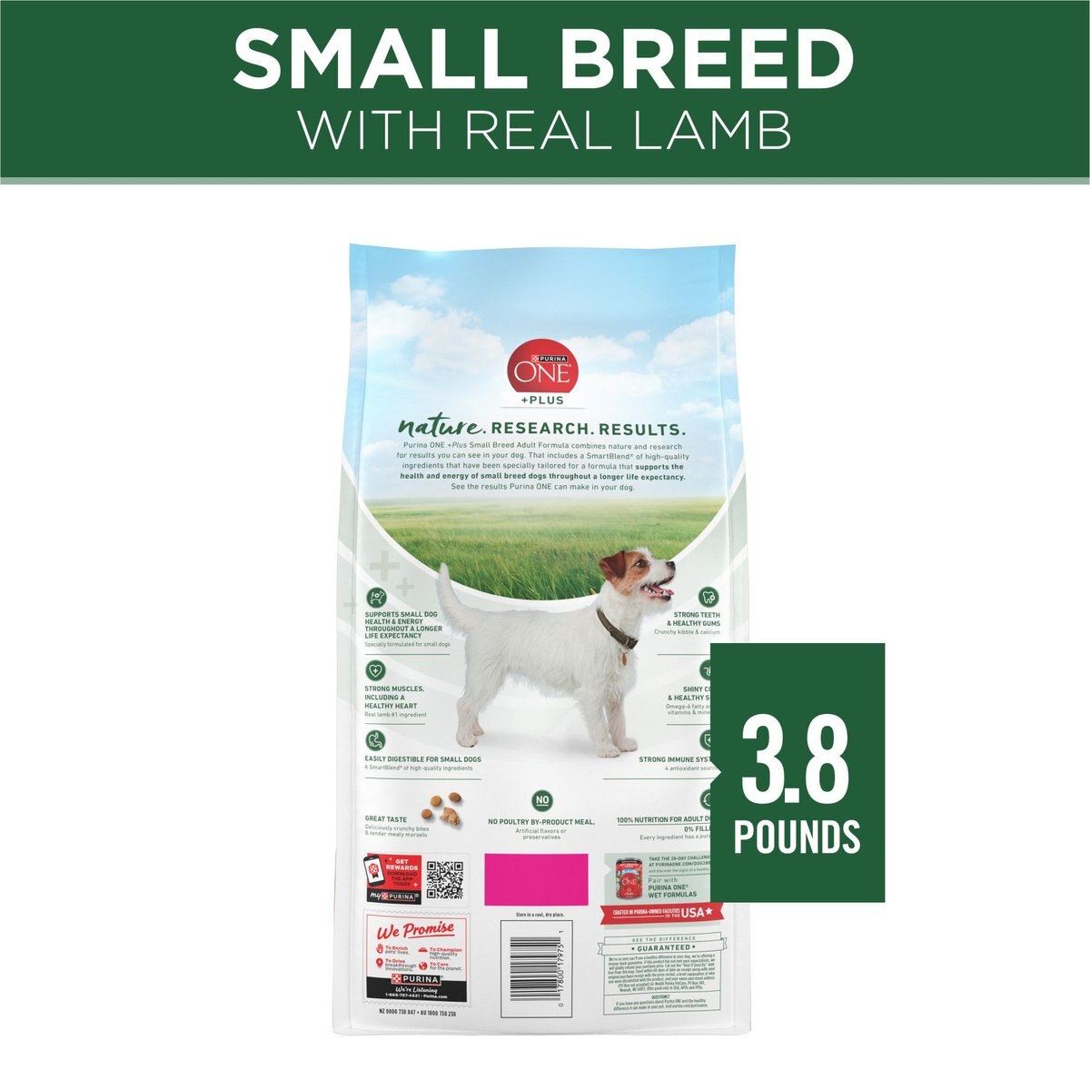 PURINA ONE +Plus Adult Small Breed Lamb & Rice Formula Dry Dog Food, 3.8lb bag