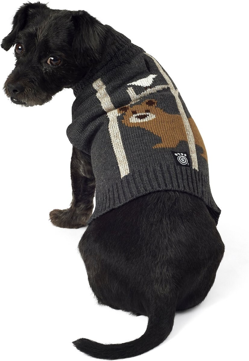 Petrageous store dog sweaters