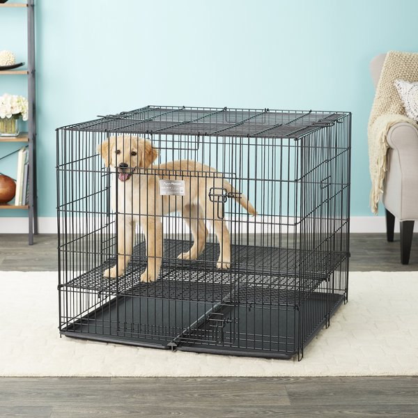 MIDWEST Double Door Collapsible Wire Puppy Crate with 1 inch Floor Grid ...