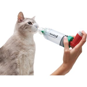 Trudell Medical International AeroKat Cat Asthma Aerosol Chamber