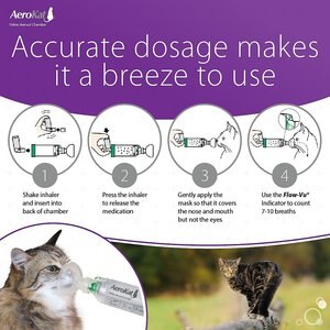 Trudell Medical International AeroKat Cat Asthma Aerosol Chamber