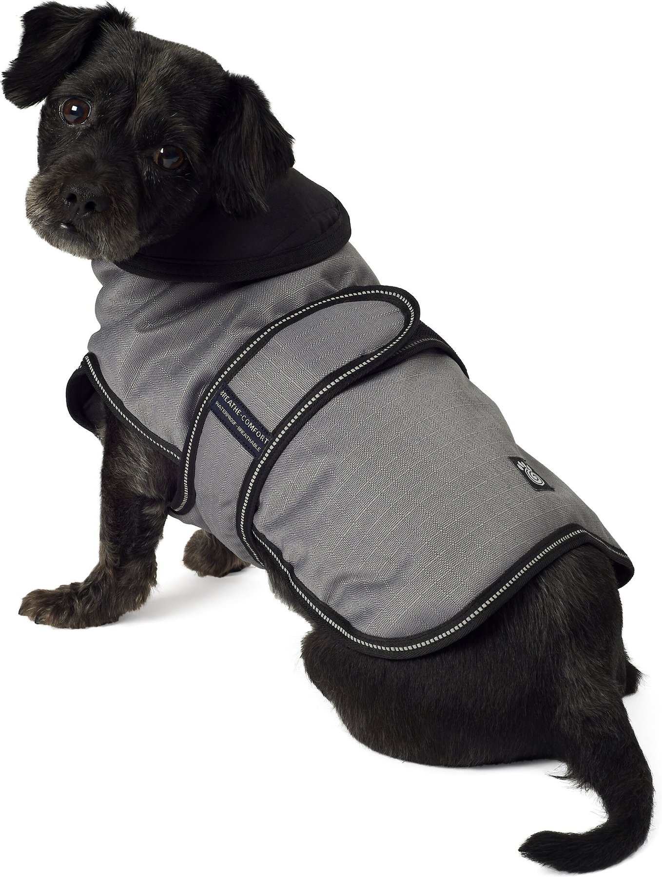 petrageous designs juneau dog coat