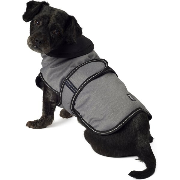 petrageous designs juneau insulated dog jacket