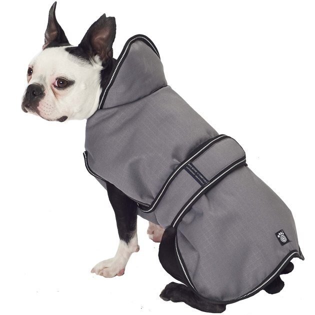 PETRAGEOUS DESIGNS Juneau Insulated Dog Jacket, Gray, Medium - Chewy.com