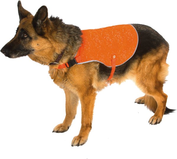 Orange reflective hot sale dog vest