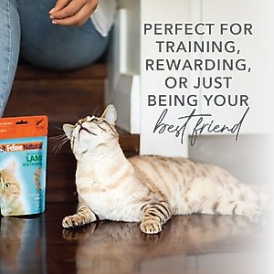Feline Natural Lamb Healthy Bites Grain-Free Freeze-Dried Cat Treats, 1.76-oz bag