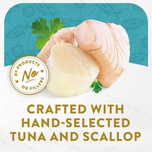Fancy Feast Appetizers Light Meat Tuna with a Scallop Topper Lickable Cat Treats, 1.1-oz tray, case of 10