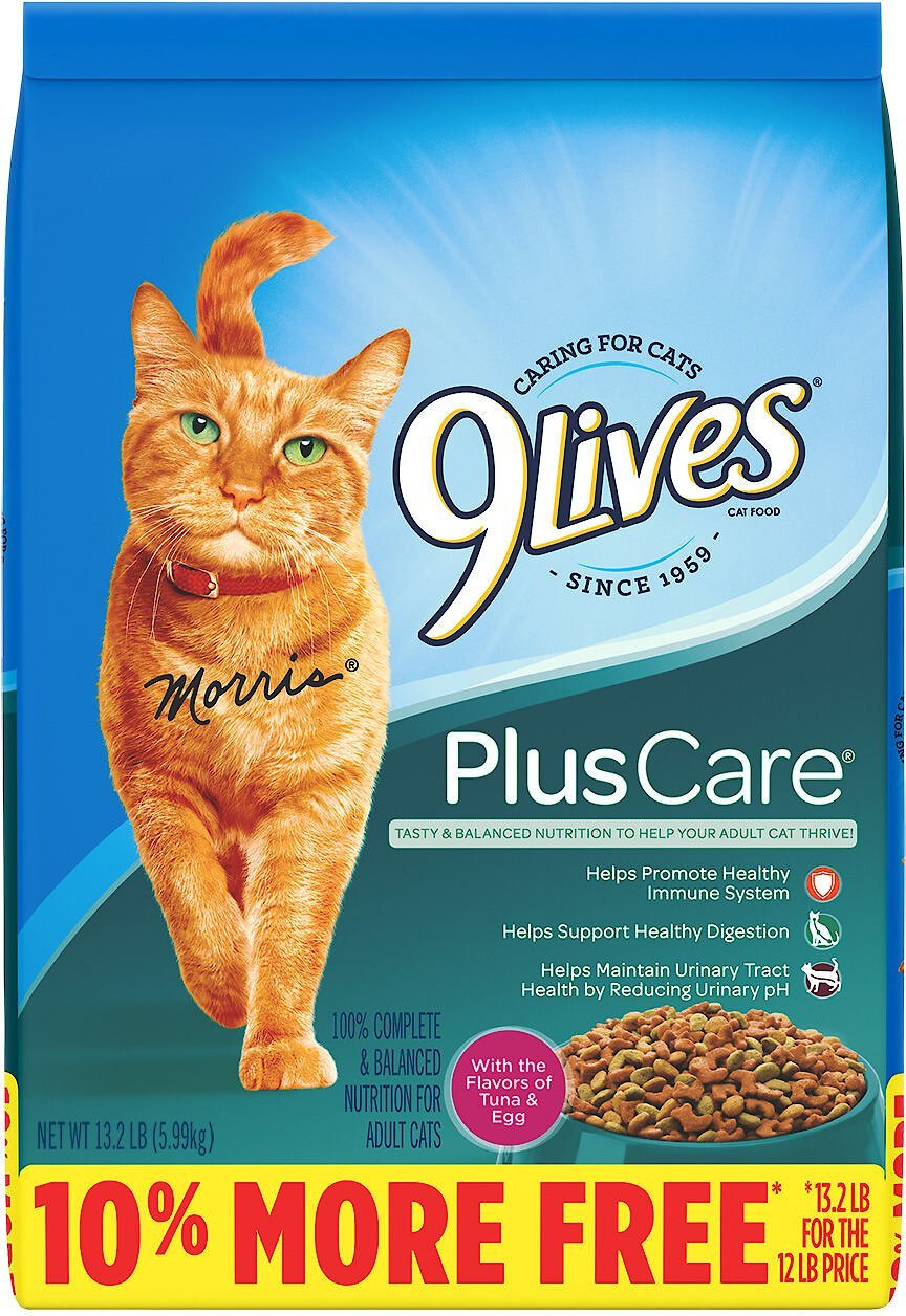 9 lives 2025 plus care reviews