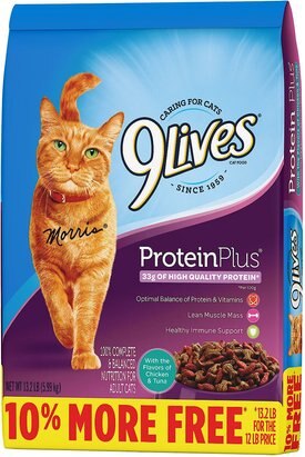 9 lives protein plus dry cat food