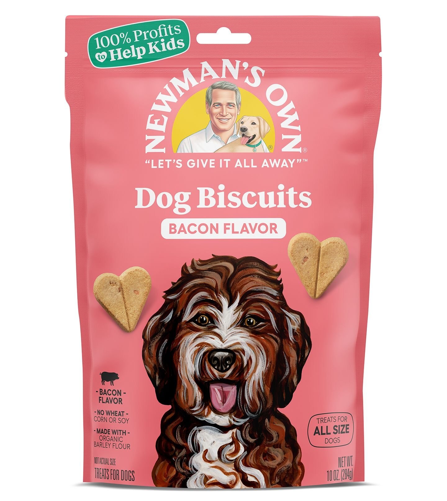 Triumph Oats & Honey Flavor Biscuits Dog Treats