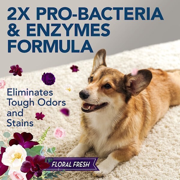 SIMPLE SOLUTION Pet Stain & Odor Remover with ProBacteria & Enzyme