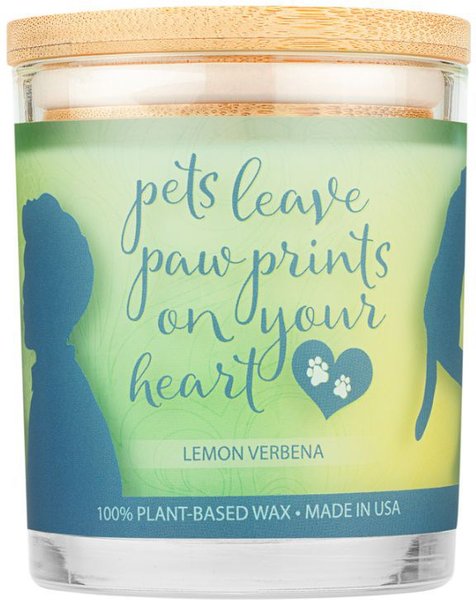 Pet House Lemon & Verbena Natural Soy Sentiment Candle, 9-oz jar slide 1 of 4
