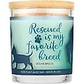 Pet House Ocean Breeze Natural Plant-Based Wax Sentiment Candle, 9-oz jar