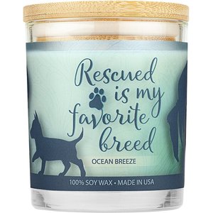 Pet House Ocean Breeze Natural Plant-Based Wax Sentiment Candle, 9-oz jar