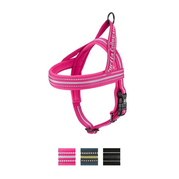 Hurtta on sale harness sizing