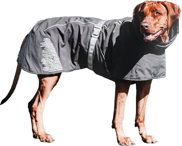 Hurtta Extreme Warmer Insulated Dog Parka, Blackberry, 10-in slide 1 of 11