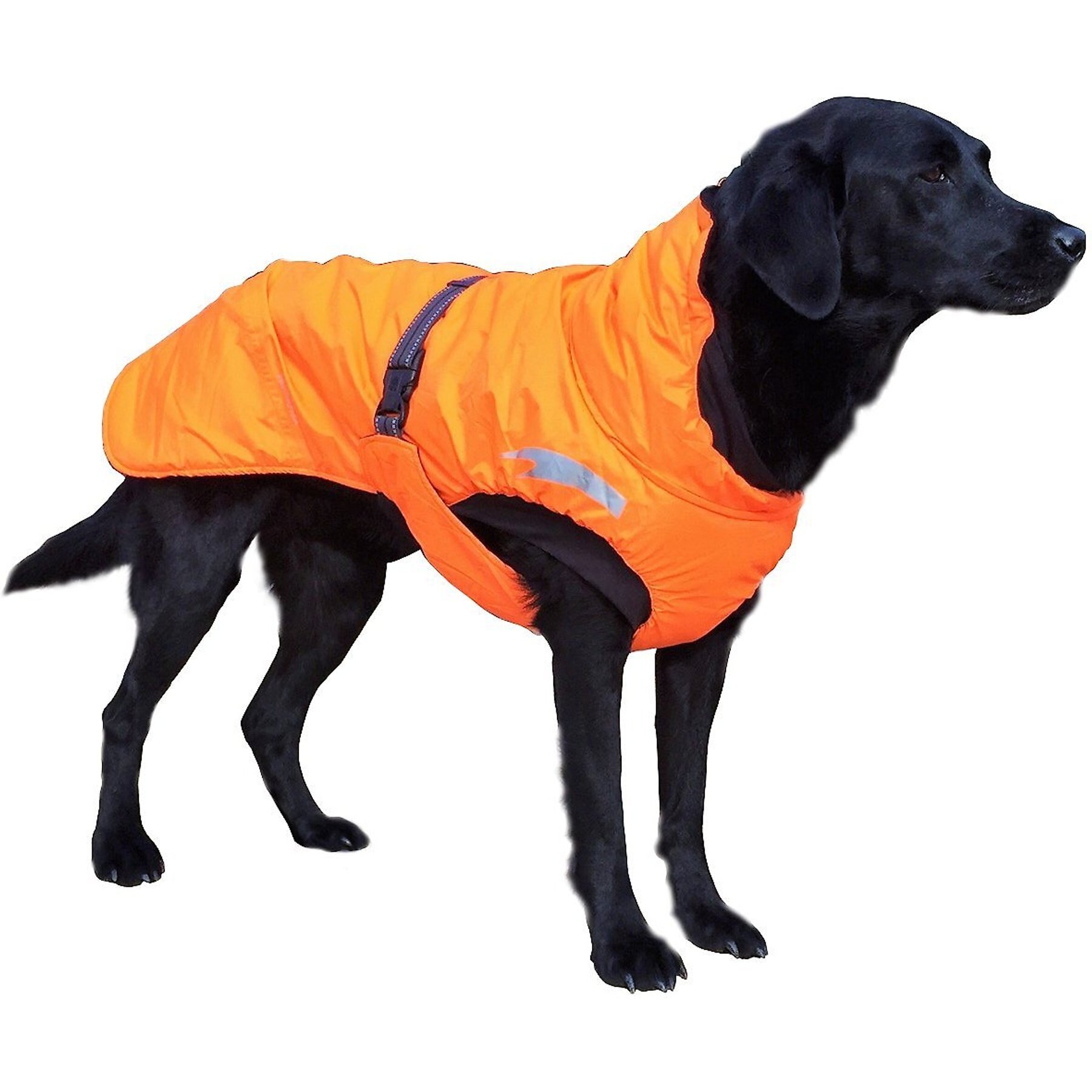 Hurtta Summit great Insulated Dog Parka